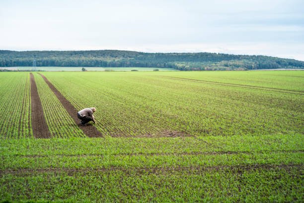 Seasonal Worker Visa